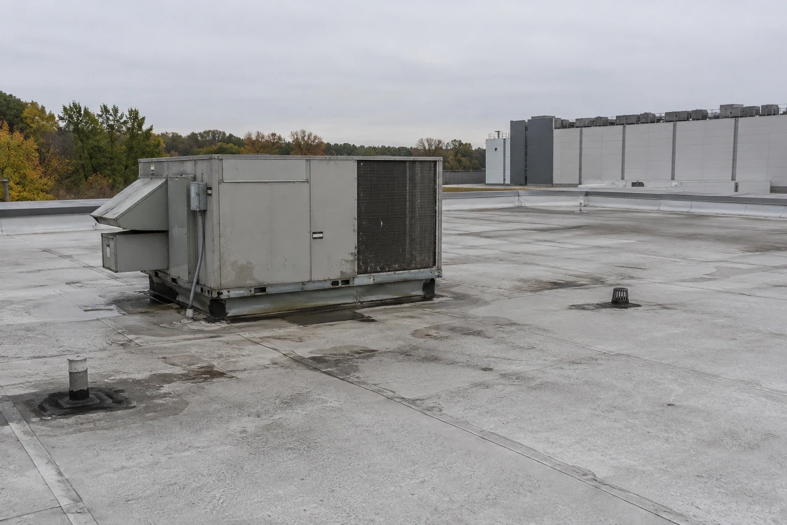 Cold Storage Roofing in Meridian, ID