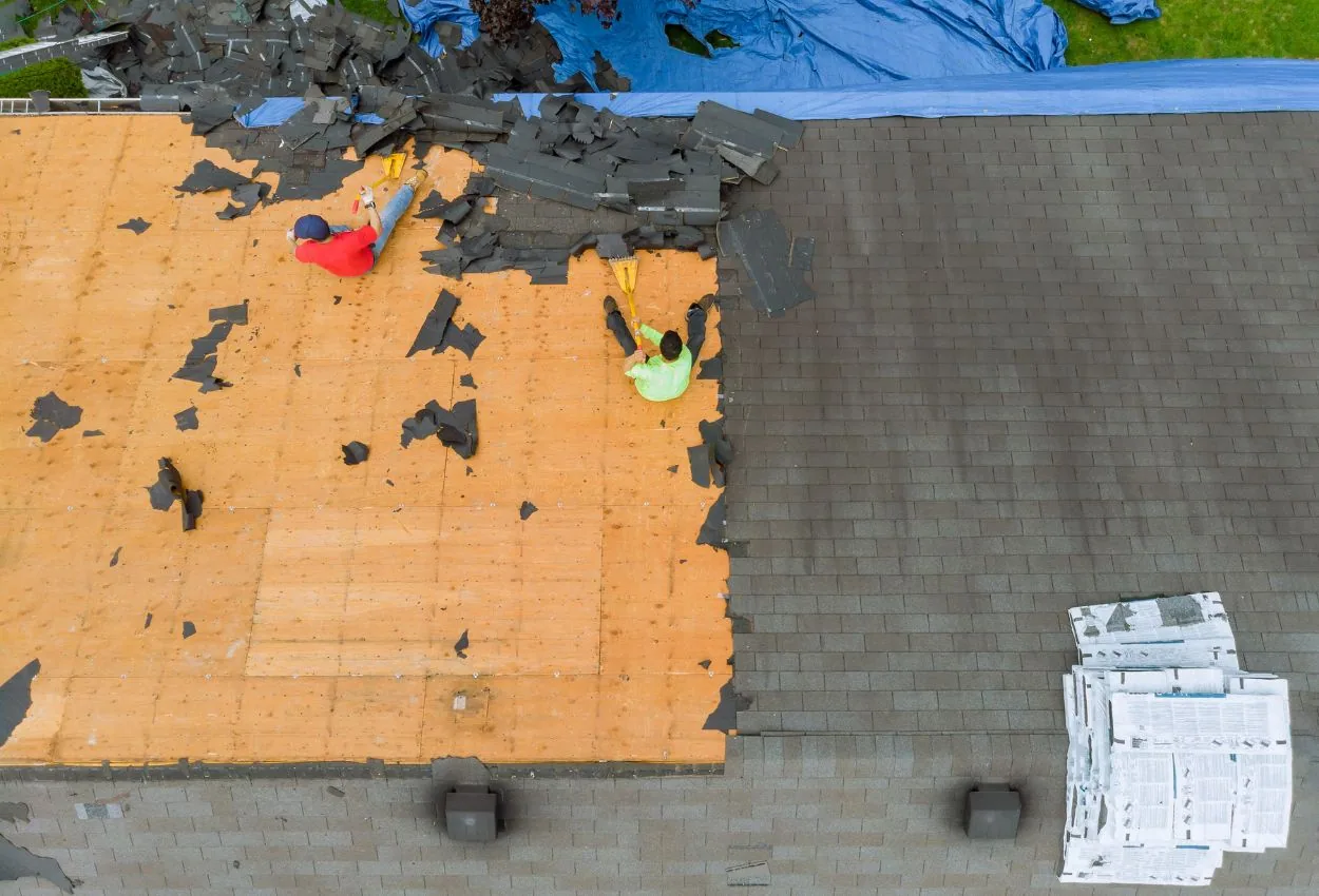 Roof Replacement